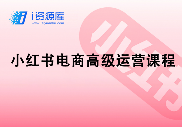 小红书电商高级运营课程-i资源库