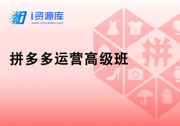拼多多运营高级班-i资源库