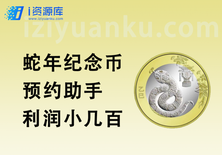蛇年纪念币预约助手_支持多人预约_利润小几百-i资源库