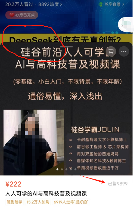 图片[2]-deepseek变现指南_提示词_指令资料合集-i资源库